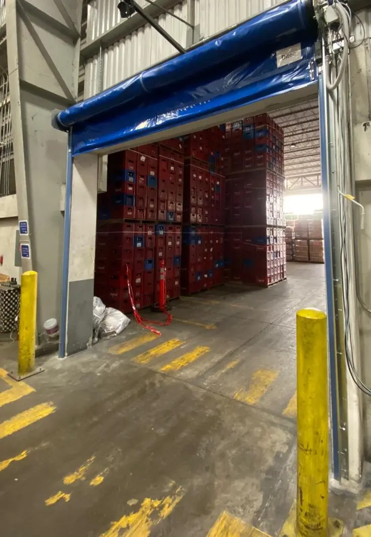 Vista general del proyecto FIFCO