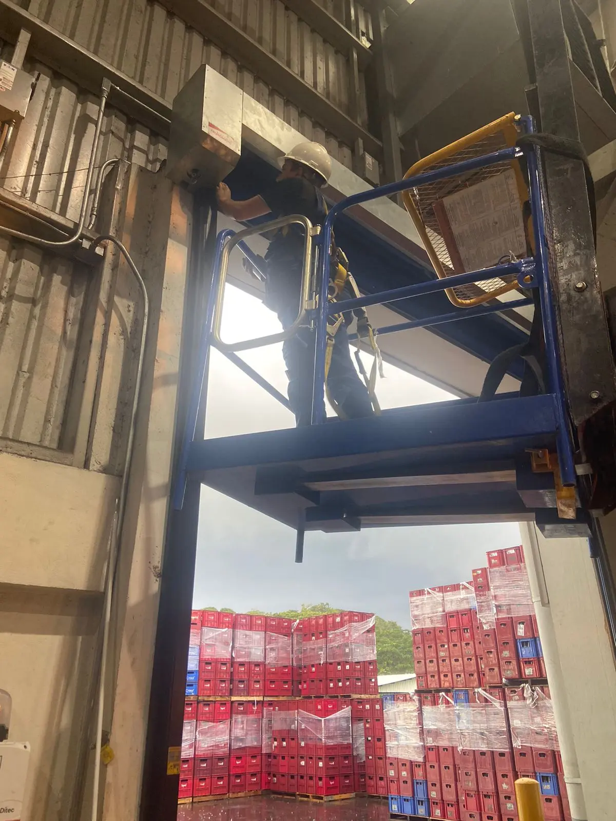 Nuestros Técnicos profesionales